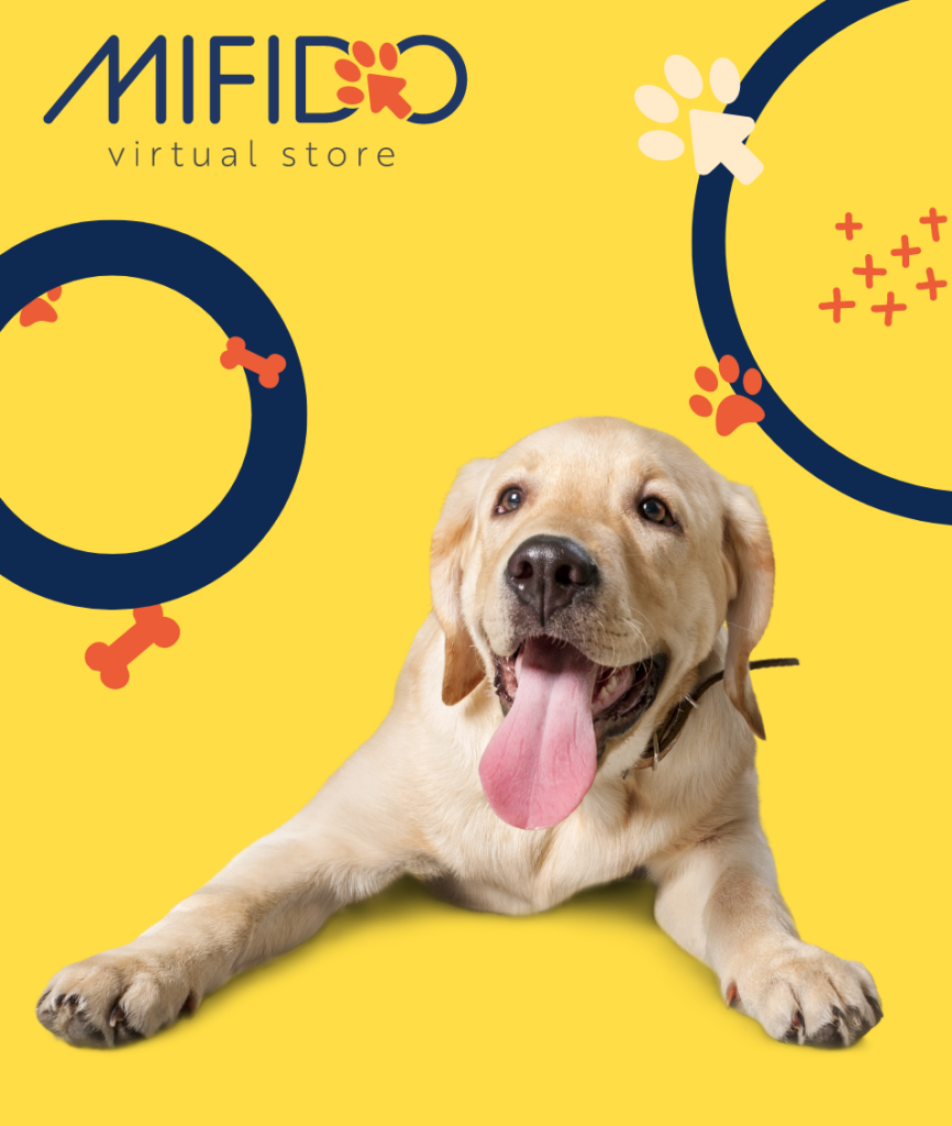 MIFIDO-banner-FAQ-d-866x1024